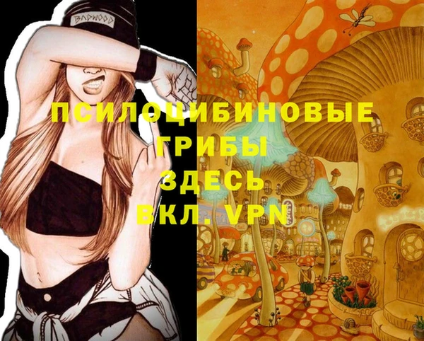 ALPHA PVP Алзамай