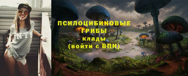 прущий лед Алексин