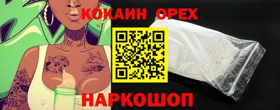 индика Сланцы