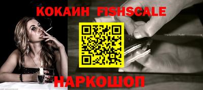 индика Сланцы