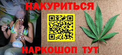 индика Сланцы