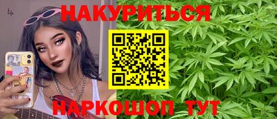 индика Сланцы