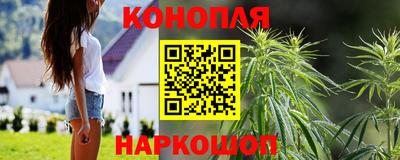 индика Сланцы