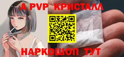 индика Сланцы