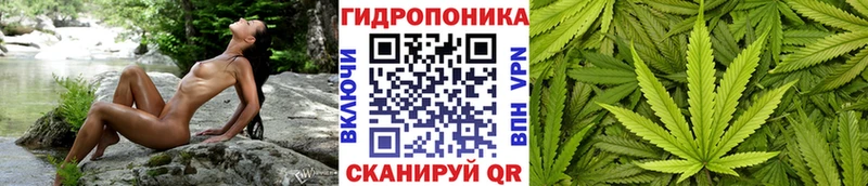 Марихуана сатива  Узловая 